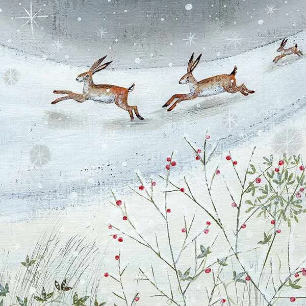 Charity Christmas Cards Hares in Snow 6 pack Relaxed Cozy Jumper